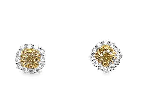18K Two-Tone Cushion Yellow Diamond Studs with Halo