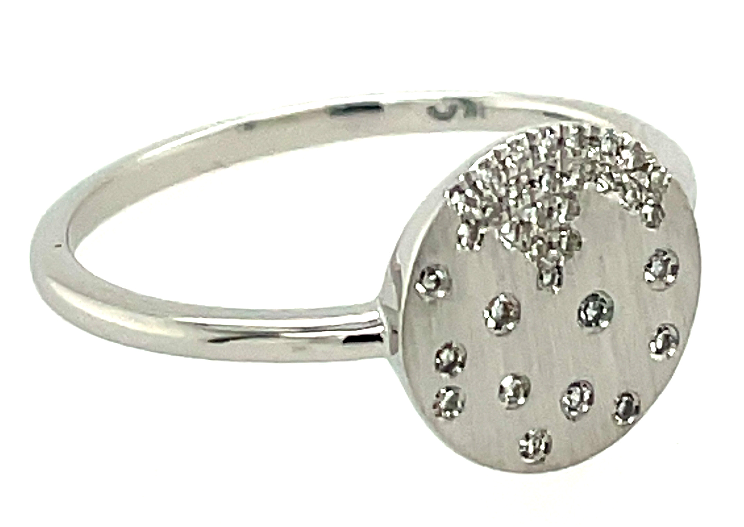 Dilamani 14W Flush Set Diamond Disc Ring .10ctw Satin Finish