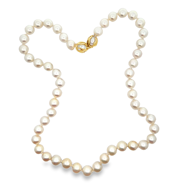 14Y 20" 8mm Akoya Pearl Necklace with Double Clasp