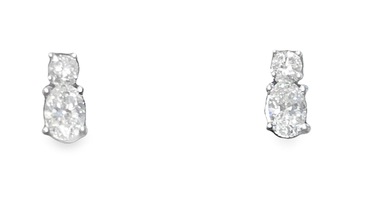 10W Two Stone Rd and Oval Stud Earrings, .50ctw
